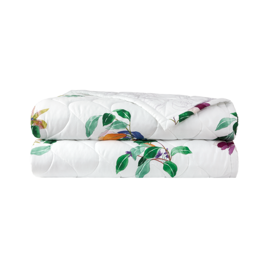 Parfum Quilted Coverlet